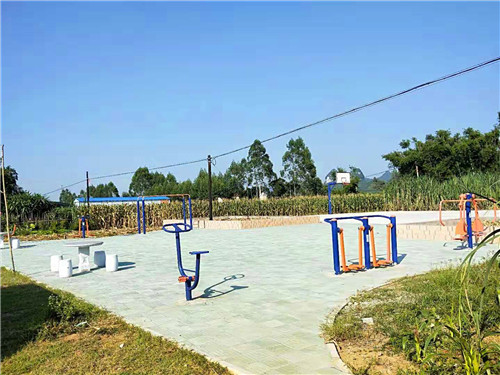 健身器材廠(chǎng)家成冠體育
